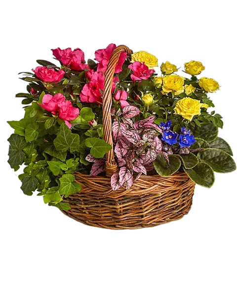 Cestino primavera con manico