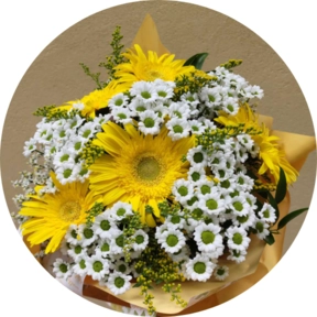 Composizione gerbere e san carlini