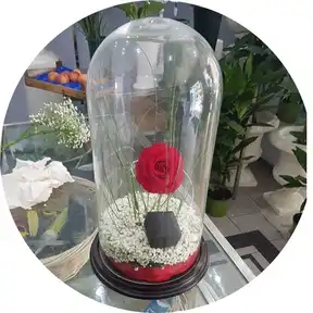 Rosa Rossa Bella e La Bestia